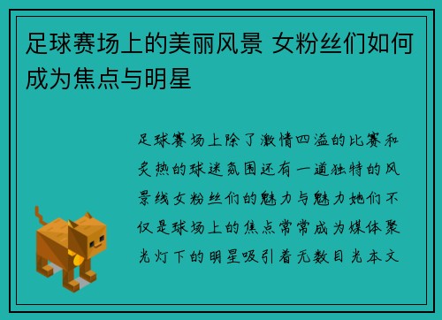 足球赛场上的美丽风景 女粉丝们如何成为焦点与明星