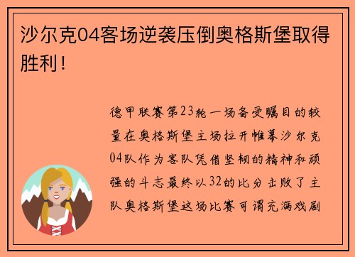 沙尔克04客场逆袭压倒奥格斯堡取得胜利！