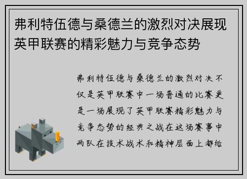 弗利特伍德与桑德兰的激烈对决展现英甲联赛的精彩魅力与竞争态势