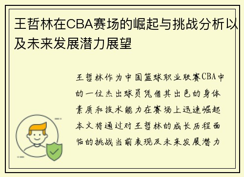 王哲林在CBA赛场的崛起与挑战分析以及未来发展潜力展望