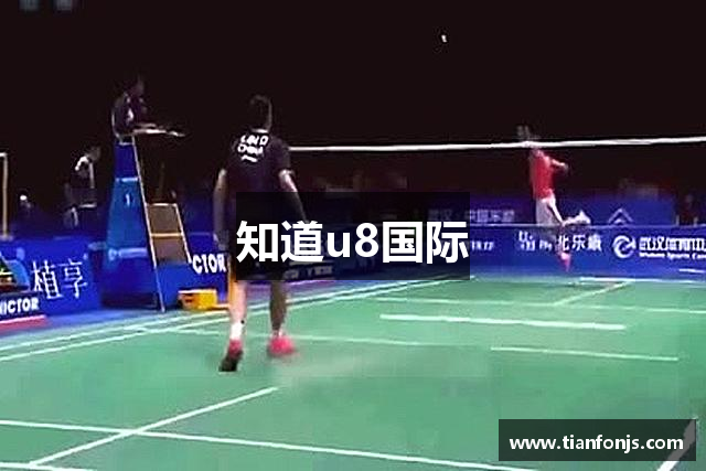 知道u8国际